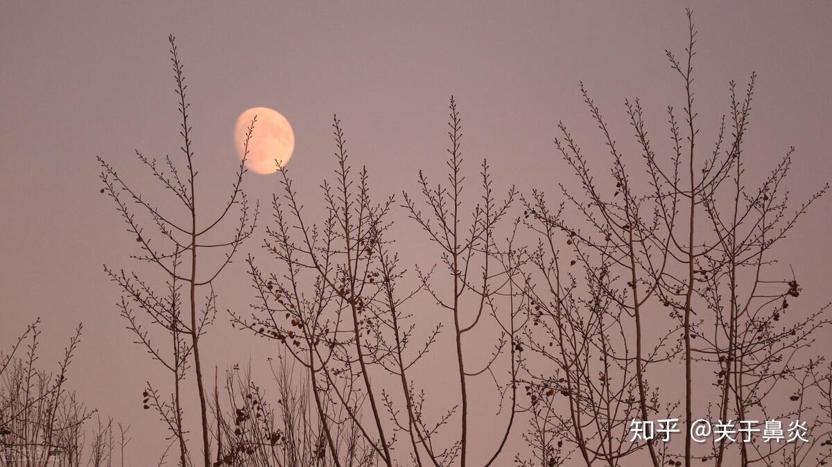 秋季总是犯困没有精神教你轻松解秋乏