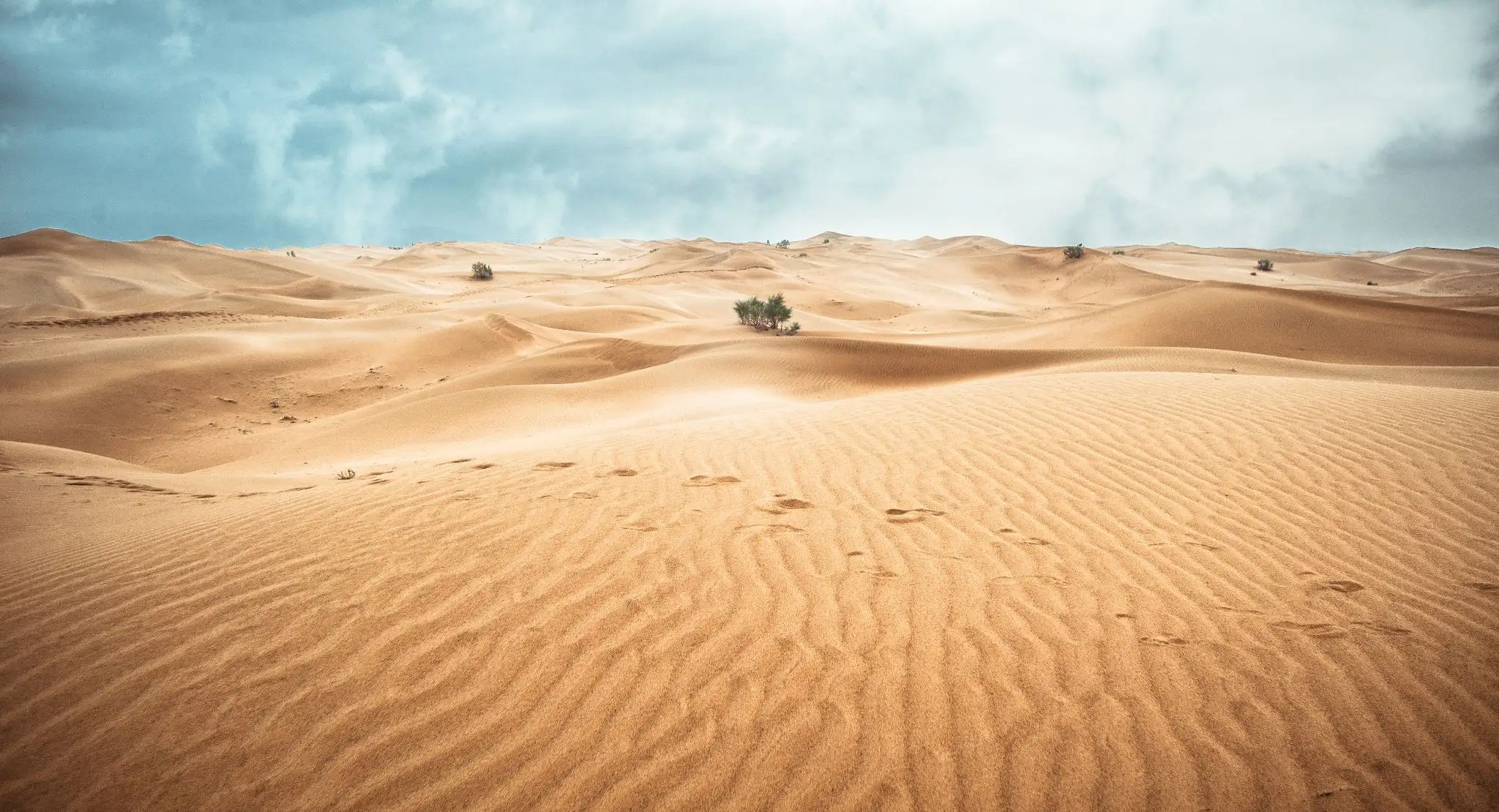 漠漠沙尘匝