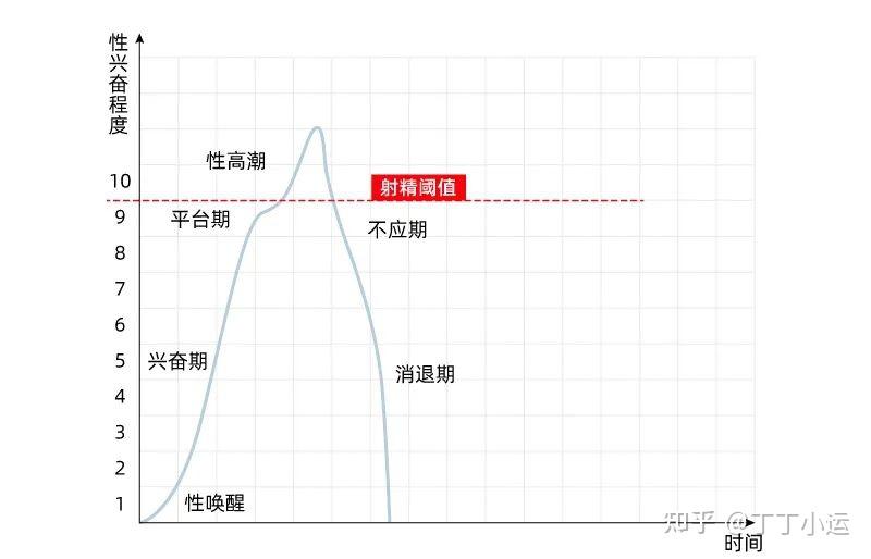 一文看懂,男女性兴奋反应周期对照图 - 知乎
