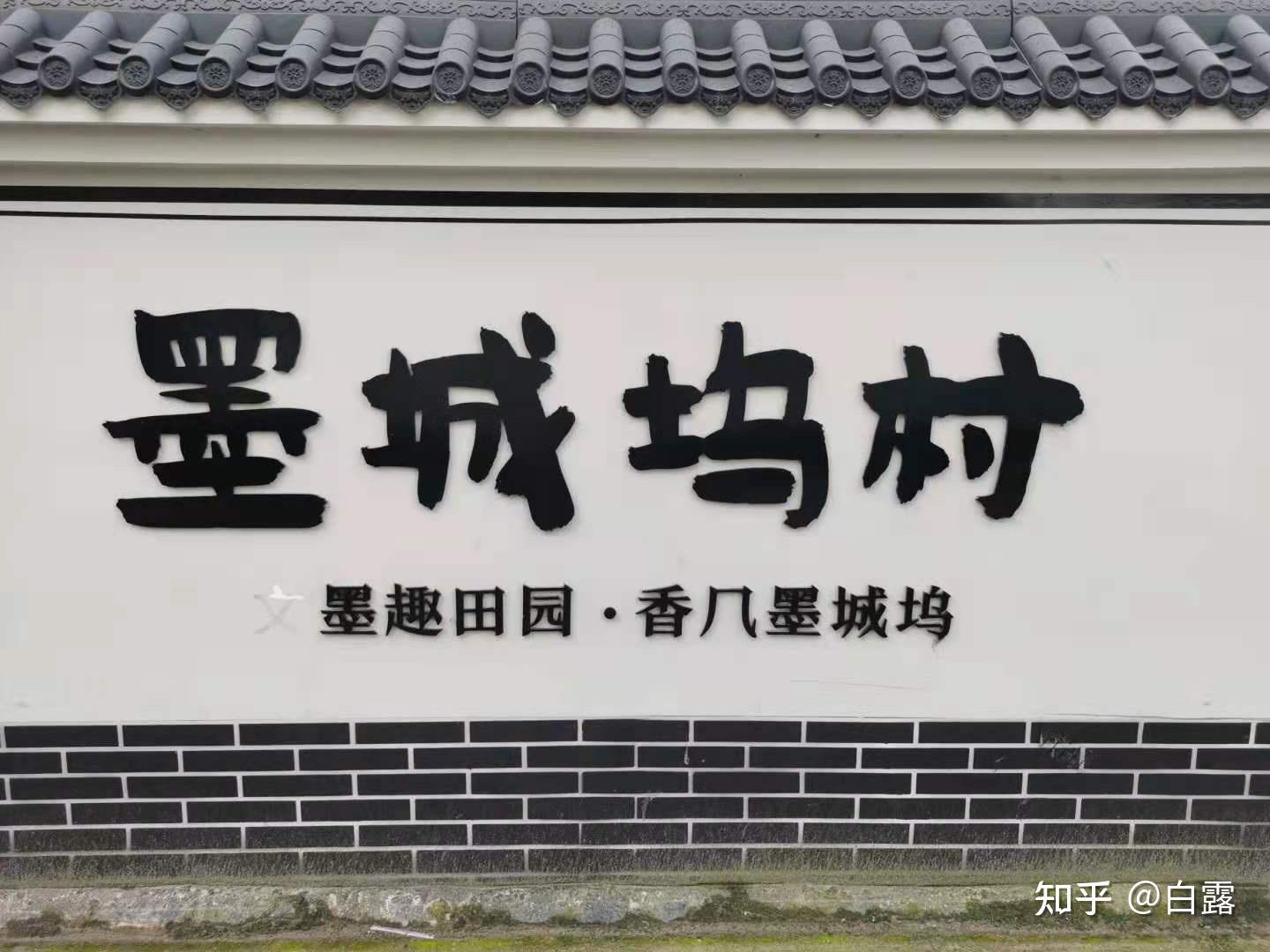 墨城坞村调研日志