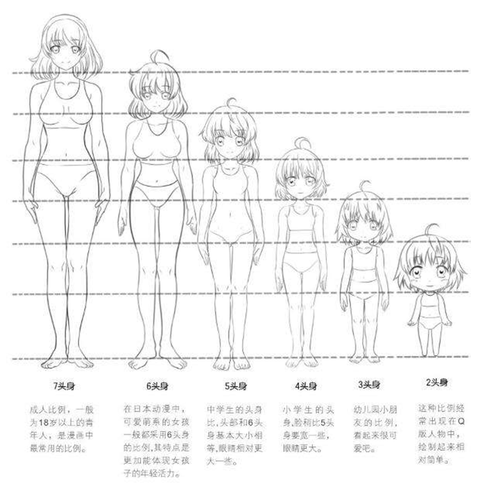 5头身比例是最常用的,立七坐五盘三半,伸九弯五跪四半;头一肩二臂三头