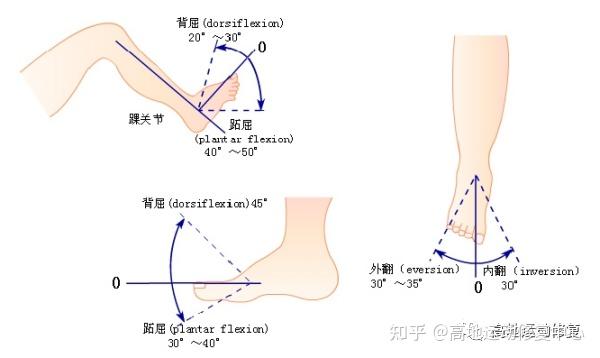 跑步中踝關節不穩定如何改善