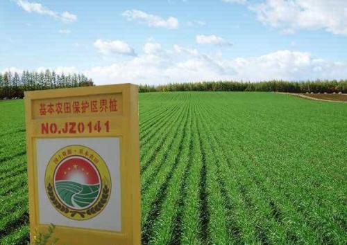 v2-0bf8745698ba9844c0f56dfd15124272_1440w.jpg?source=172ae18b