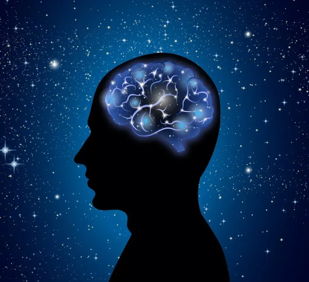 Neuralink 与大脑的神奇未来·第三部分：脑机接口 - 知乎