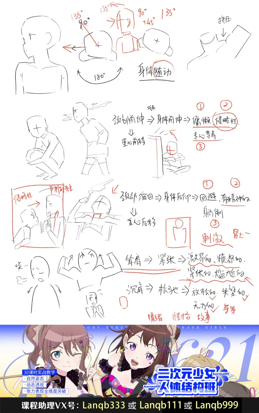 【板绘学习】二次元人体结构学习要点 - 知乎