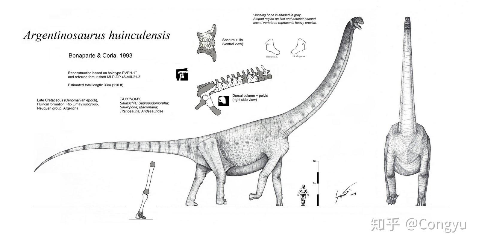 寻找最大的恐龙2:巴塔哥尼亚高原的巨兽(上) - 知乎