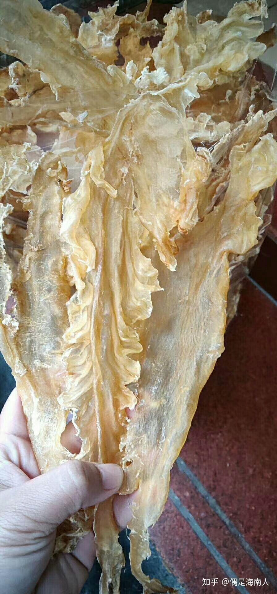 鳌鱼胶的营养价值非常高