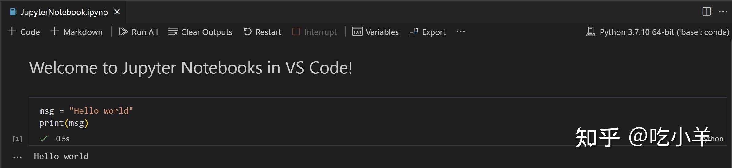 VS Code 中 Jupyter Notebook 使用方法 - 知乎