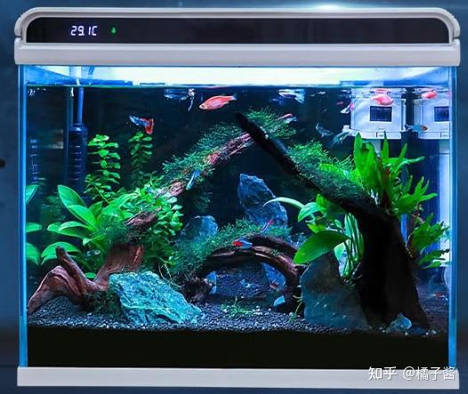 鱼缸冲浪泵会影响鱼吗_亚克力鱼缸材质_鱼缸挑选尺寸
