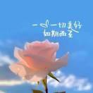 rime拼音输入方案主观评测(雾凇、万象、白霜、魔然、薄荷)谁能在2026给我们惊喜?