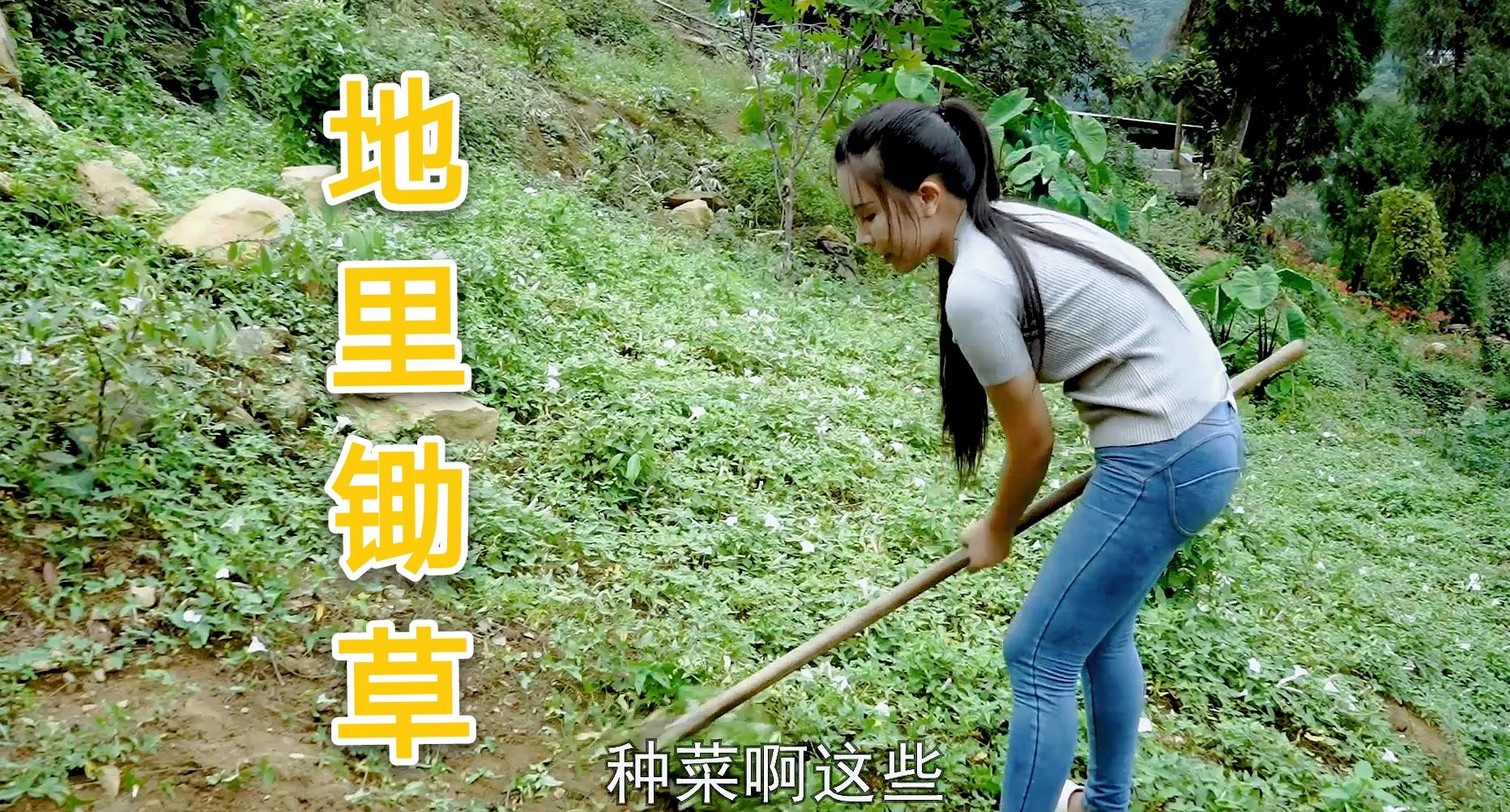 农村小妹嘴馋想吃肉在家自制可乐鸡翅色泽诱人光看就直吞口水