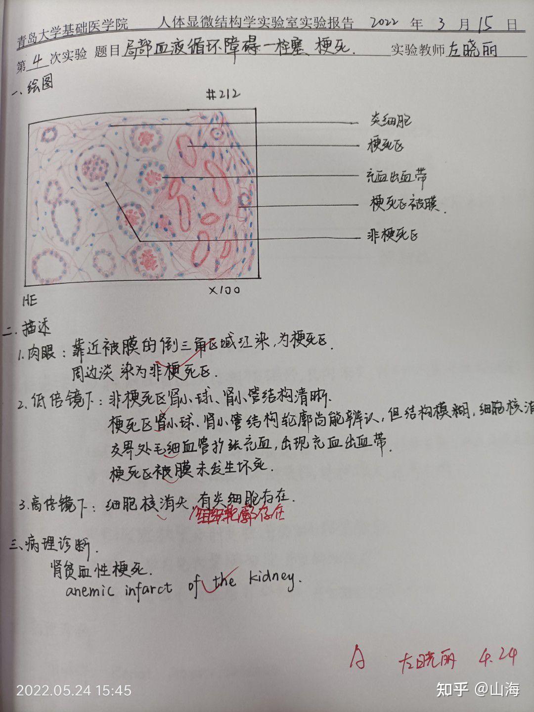 你们用的SAI都是在哪里下载的啊 知乎