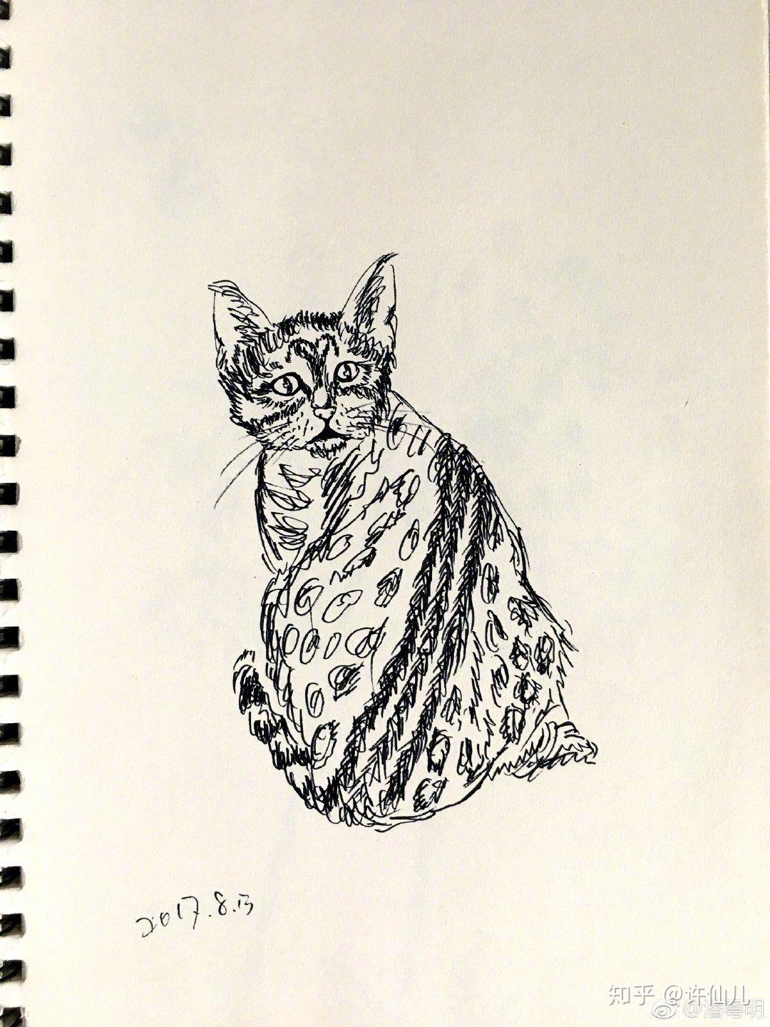 潘粤明画的是什么种类的画?