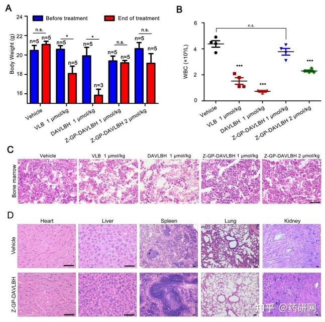 靶向实体瘤另辟蹊径：成纤维细胞激活蛋白(FAP) - 知乎