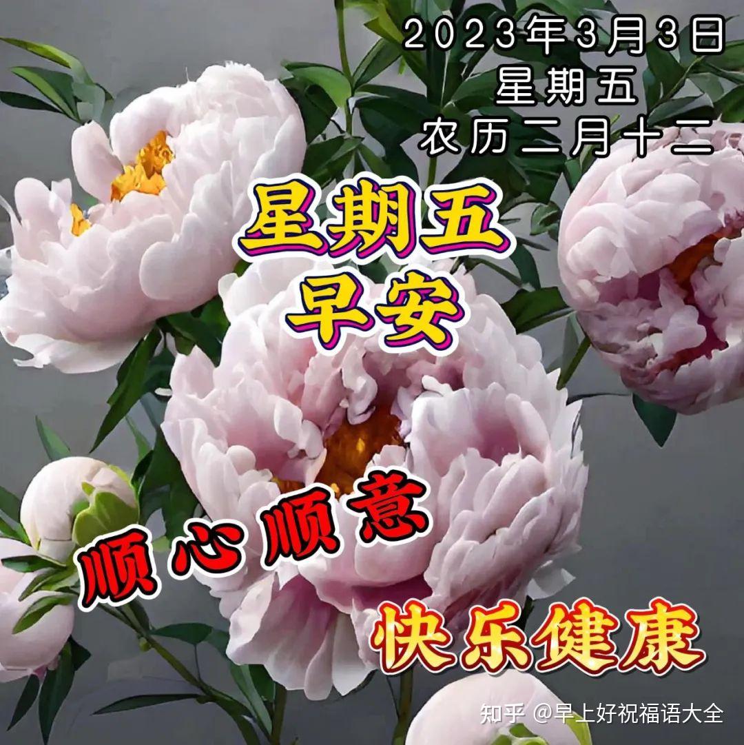 3月3日周五早上好，新版精选祝福语问候语录唯美图片带字带问候语录集，星期五暖心的早安祝福语温馨关怀牵挂短语表情图 - 知乎