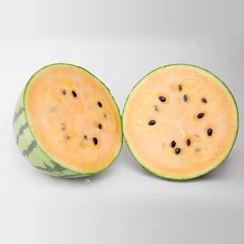 农科生活振兴乡村优品云展系列之老宋京彩橙瓤小西瓜