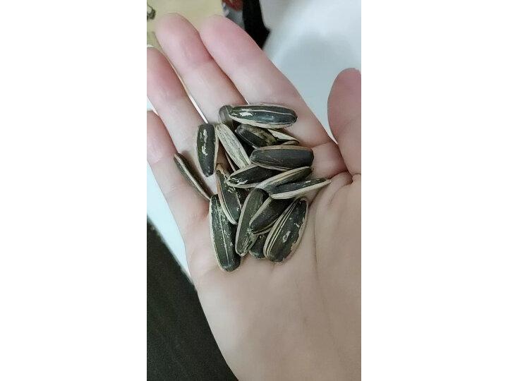 每天一把瓜子竟然可以延年益寿