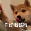Saobilin 知乎 Saobilin 知乎