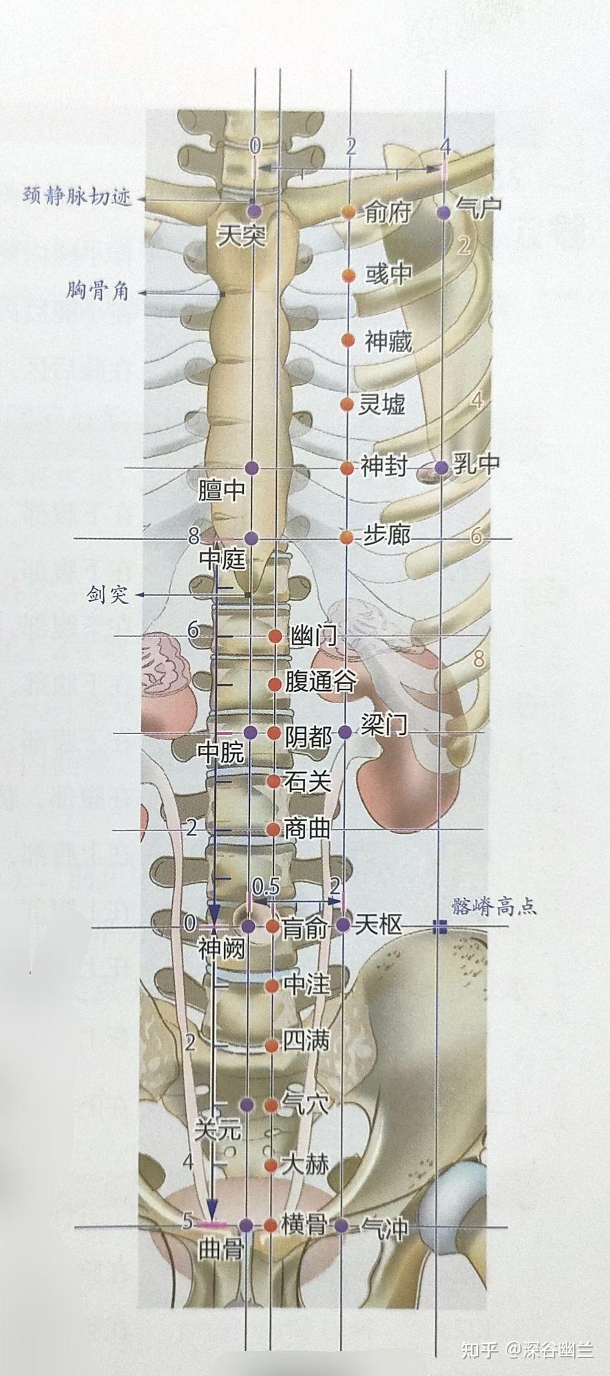 神藏位置图片