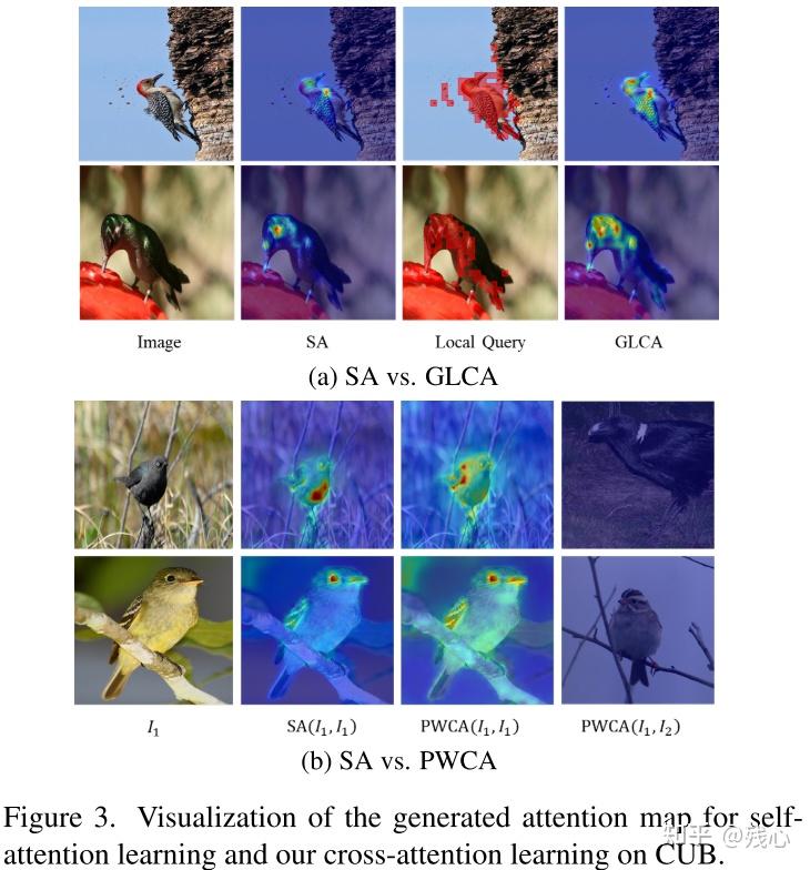Dual Cross-Attention Learning for Fine-Grained Visual Categorization ...