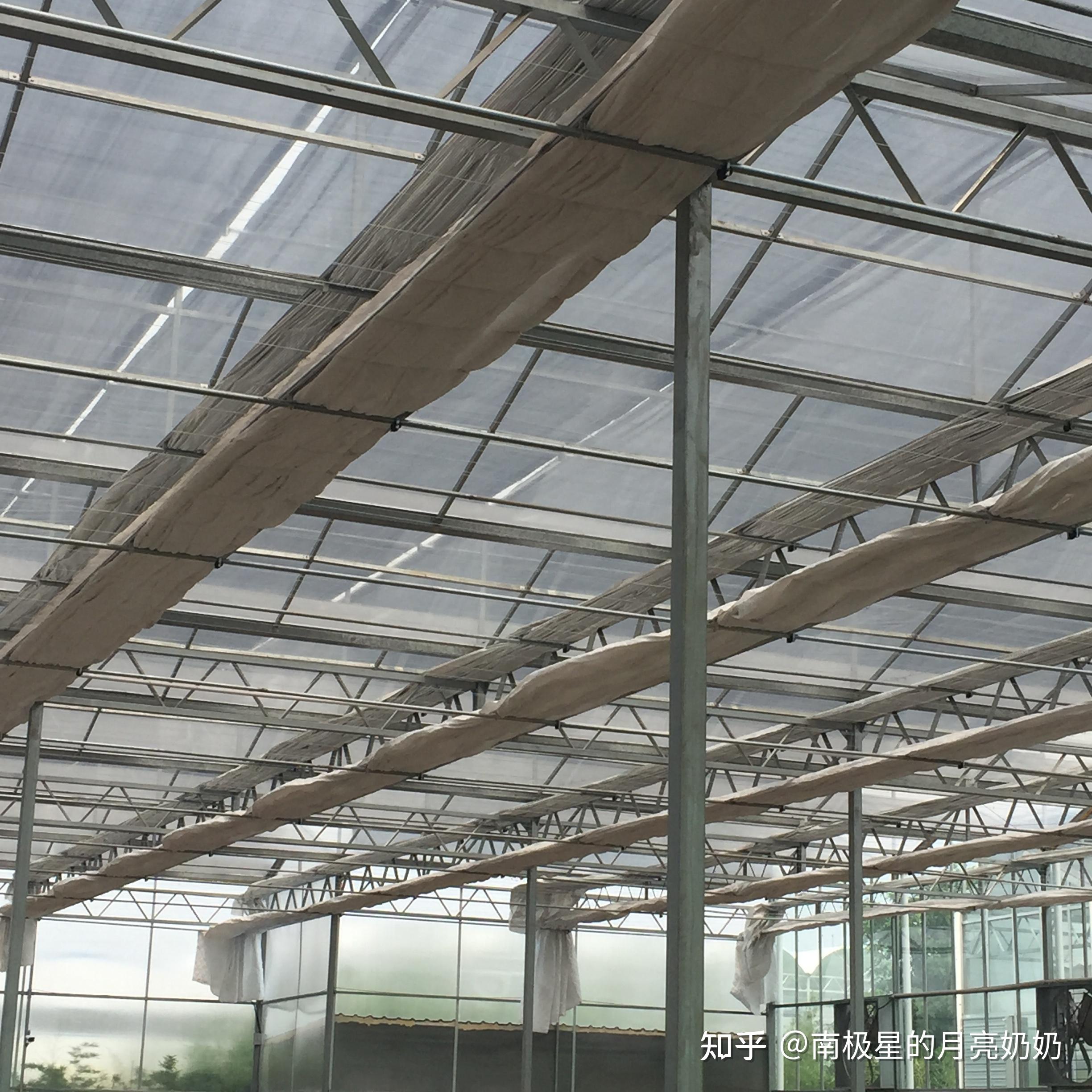 温室的内保温和内遮阳有什么区别呢