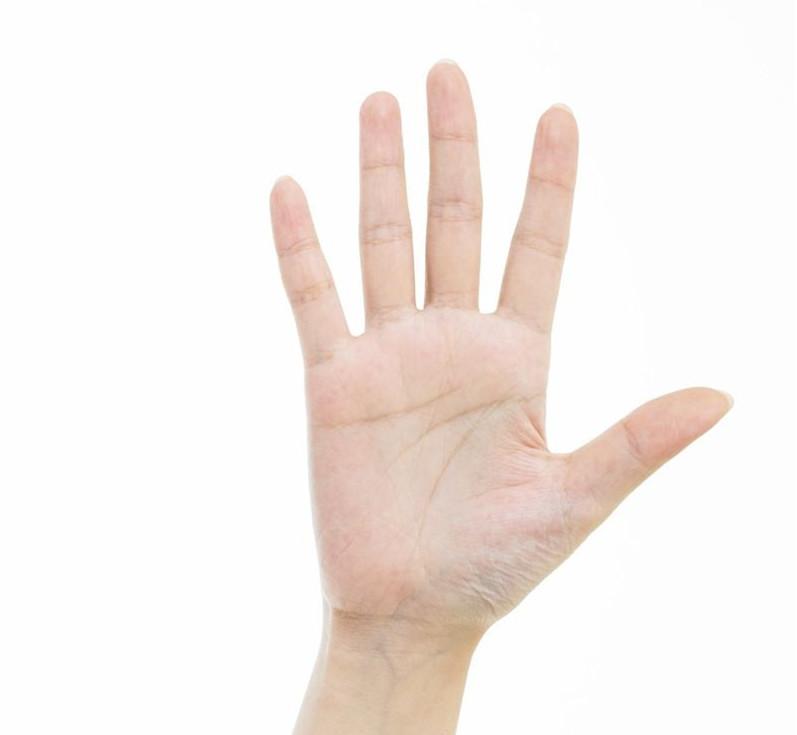 手是什么东西组成的 v2-0c938162ab342b24c0a5fd15085156f7_1200x500.jpg