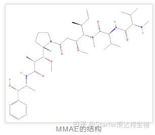 MMAE/MMAF何以成为ADC药物的“核心弹头”？ - 知乎