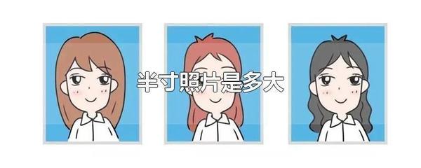 1.5寸和半寸证件照尺寸要求及手机拍照制作技巧 - 知乎