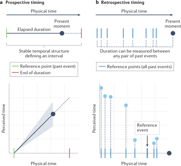 Nat Rev Neurosci综述：如何感知时间？ - 知乎