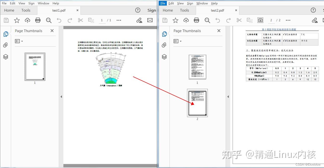 Pdf 