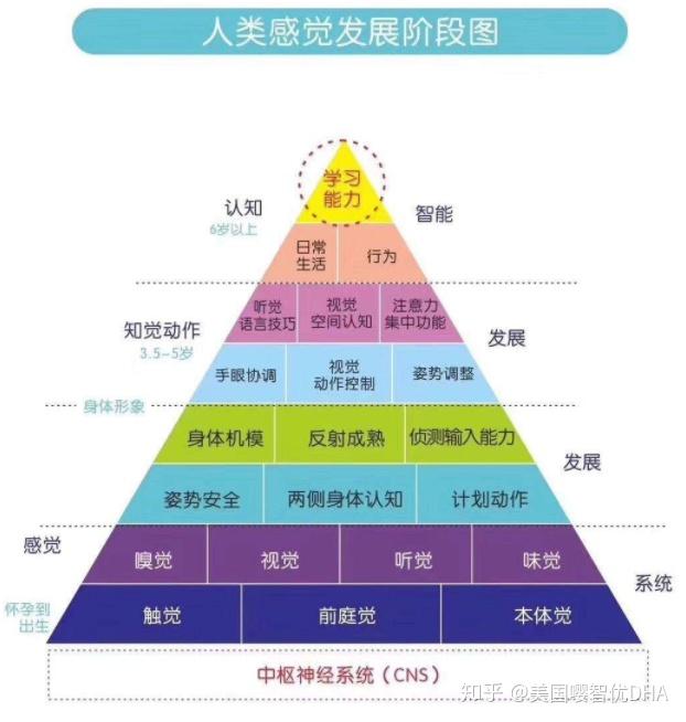 嘤智优告诉你感统训练对孩子有多重要