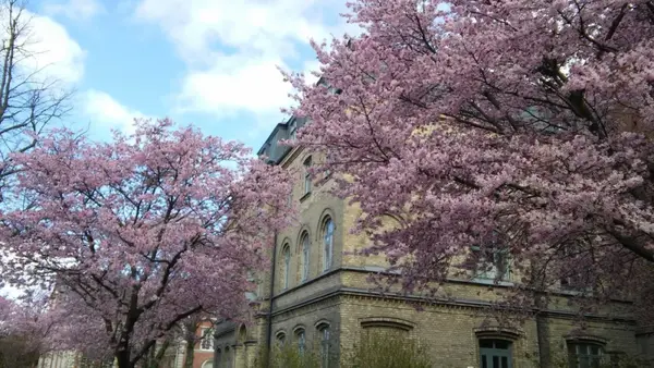 瑞典排名大学排名_瑞典的大学排名_瑞典大学排名