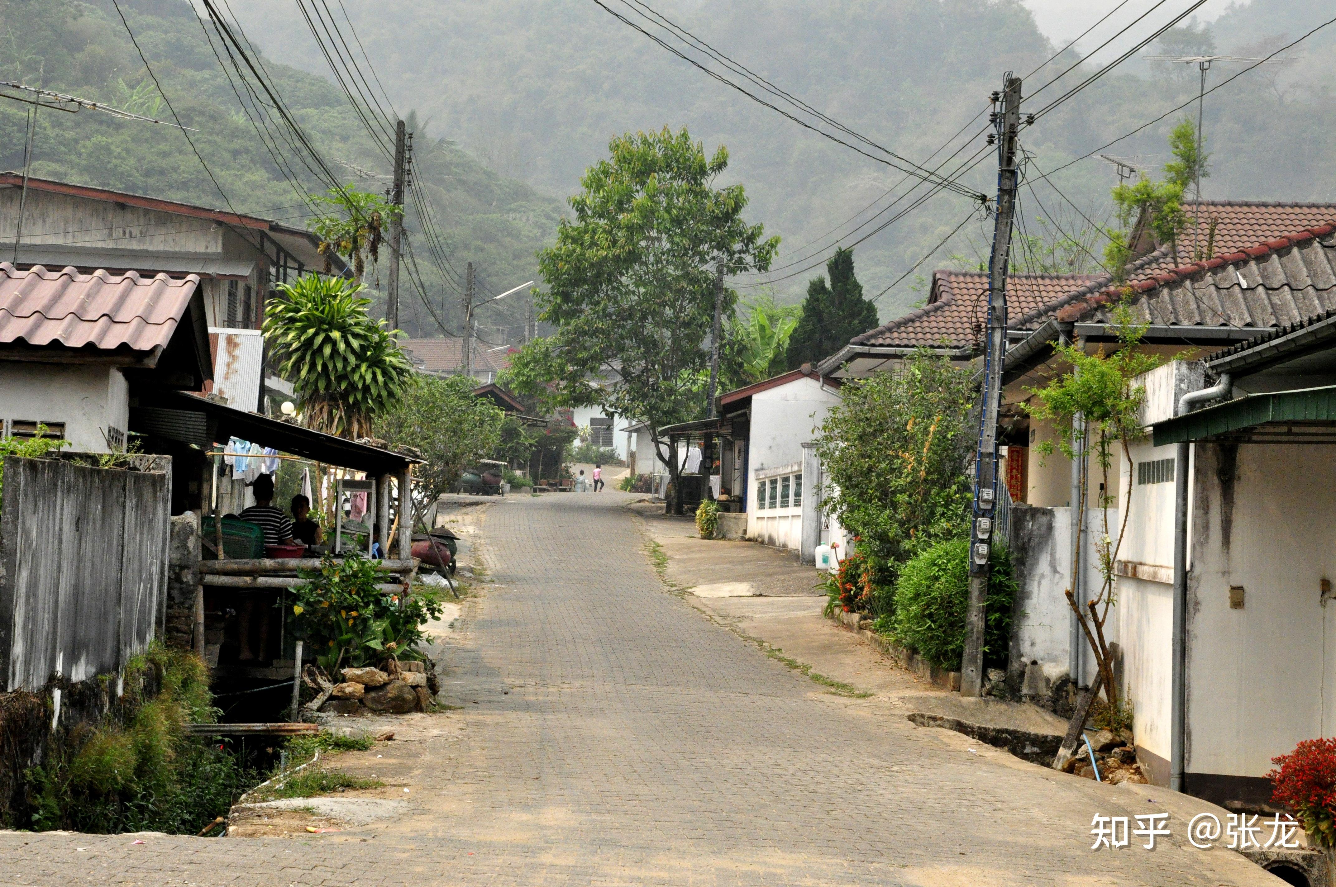 今日金三角:真实记录金三角国民党后裔的生存现状