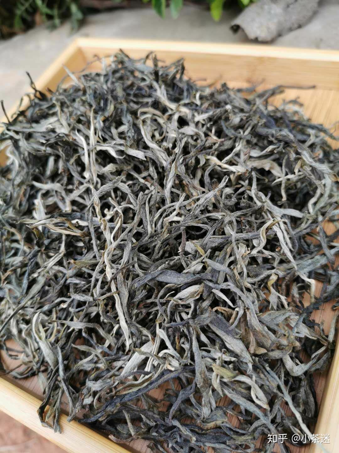 老班章600年古树纯料2020头春生茶霸道茶气圆满口感持续回甘甜