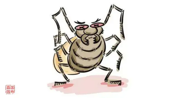 嘉园养生前方高能一大批虫虫即将来袭