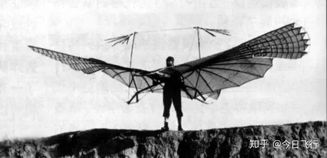 飞行器中的仿生学你了解吗