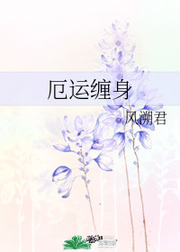 图标