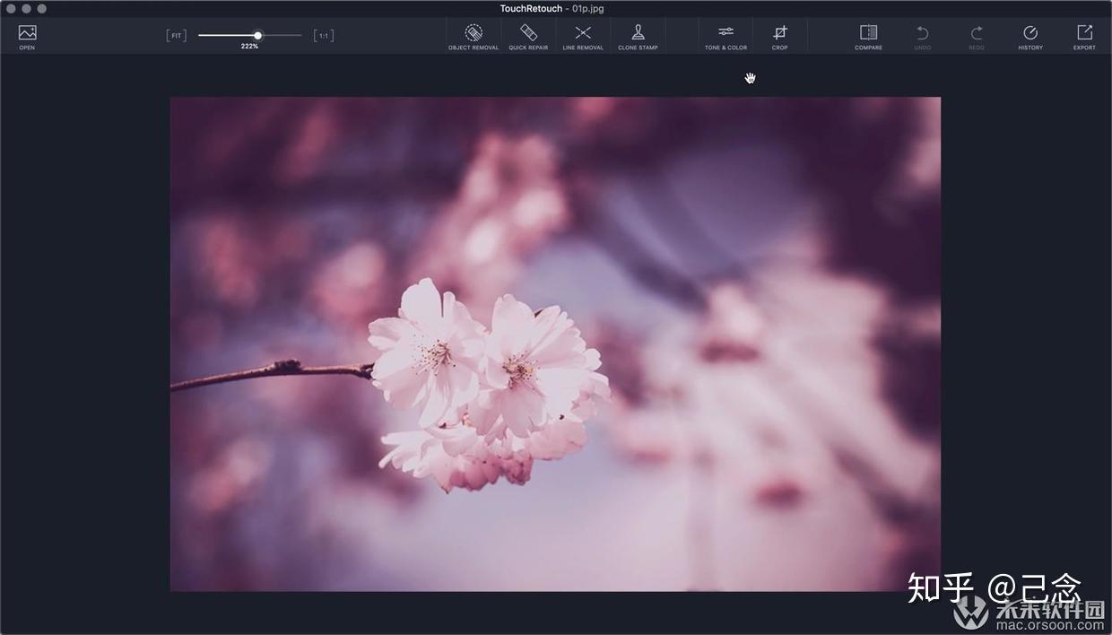 己念 touchretouch mac版 中文叫做抠图大师,是一款革命性的电脑修图