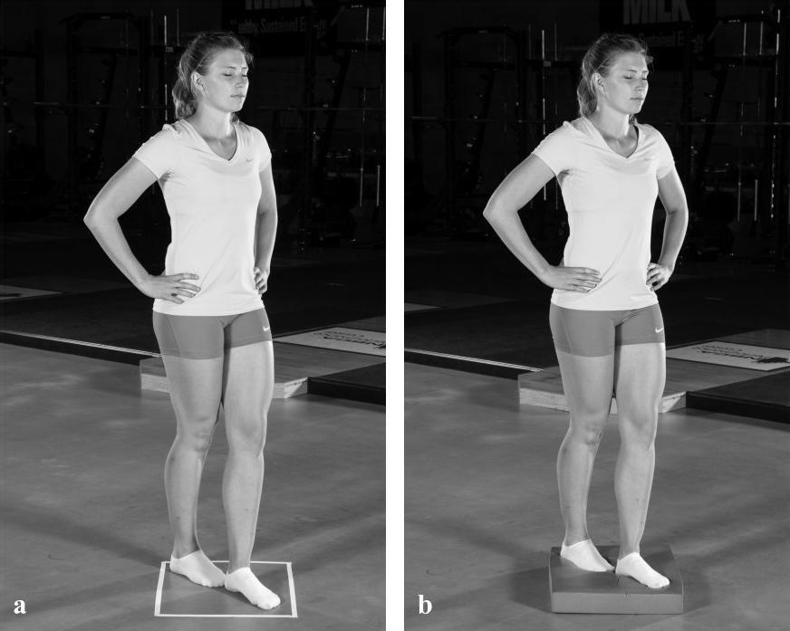 图3 在不同表面上进行的踵趾站姿测试:a.坚硬的;b.