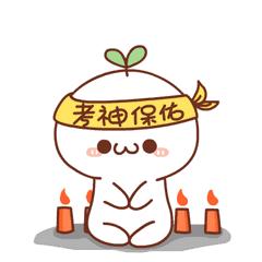 自考阅卷老师是怎么打分的