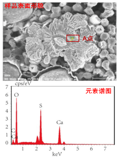 EDX的基本原理与应用 - 知乎