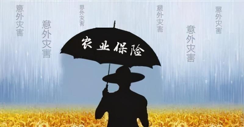 农业保险:灾后农民的"定心丸"!快上车,别再自担损失了!