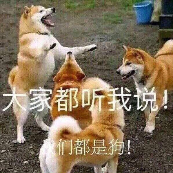 剑桥大学以及ucl 伦敦大学学院 每年本科建筑 纯architecture 招的中国人很少吗 知乎