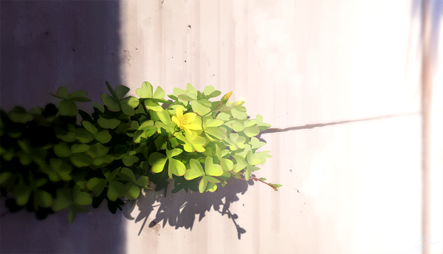 你用过哪些让你惊艳的二次元电脑高清壁纸