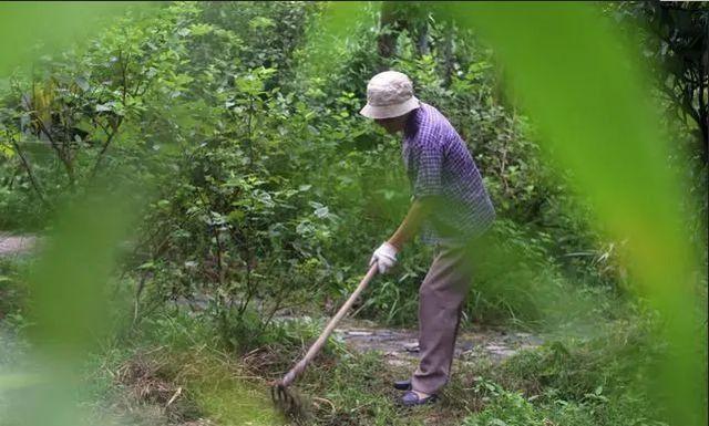 北大研究生马敏庄投身西北教育20余年今89岁住烂尾楼直到死去