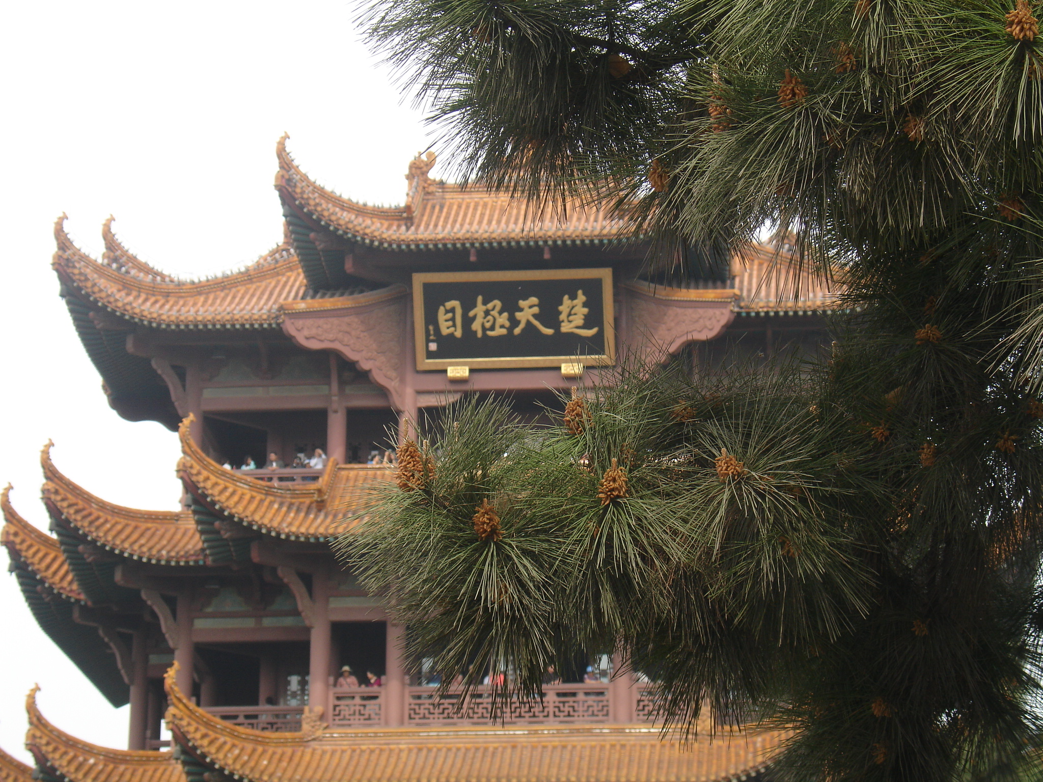 黃鶴一去不復返,白雲千載空悠悠.昔人已乘黃鶴去,此地空餘黃鶴樓.