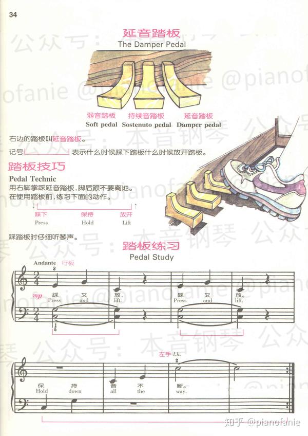 课程 乐理知识讲重点第十二课 踏板 知乎