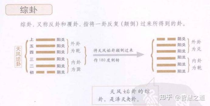 《图解易经》学习25 - 综卦 - 知乎