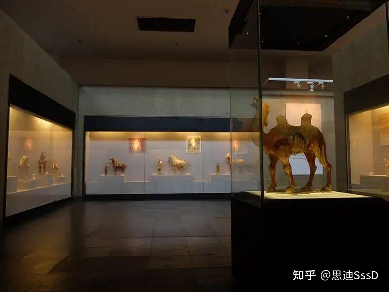 博物馆Vol.123 | 洛阳博物馆 - 知乎