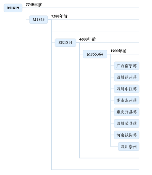 祖源追溯从姓氏遗传看湖广填四川的印记